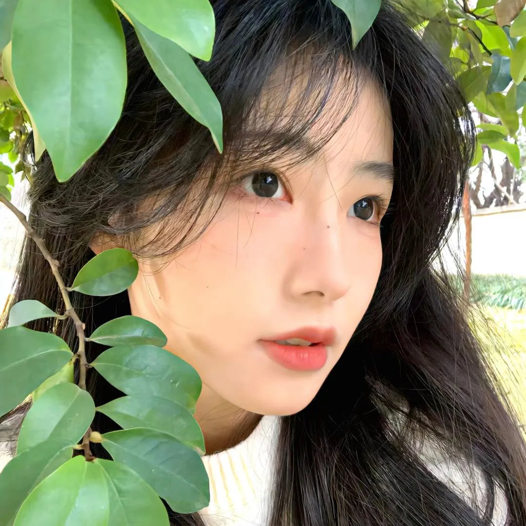 爱在猫咪疗愈时 封面