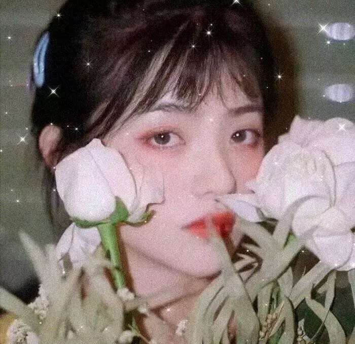 死画像 封面